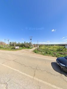 Vivero campos de mocejon C. Castilla la Mancha, 21, 45270 Mocejón, Toledo, España