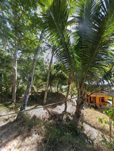 Street View & 360deg - SDN 2 KARANGDUWUR