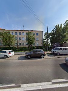 Szkoła Podstawowa nr 5 Specjalna Kaliska 13, 99-100 Łęczyca, Polska