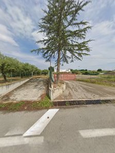 Ristorante Sotto le Stelle Contrada Foreste, 53, 66010 Miglianico CH, Italia