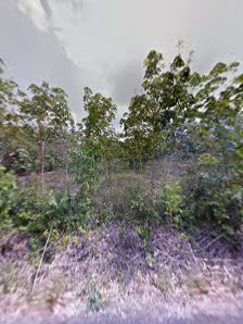 Street View & 360deg - Ma'had Assunnah Gelumbang