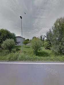 Radisa azienda agricola biologica Via Minguzzi, 48124 Ravenna RA, Italia