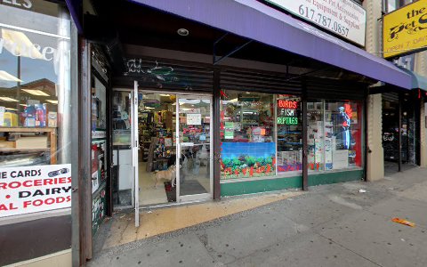 Pet Store «The Pet Shop», reviews and photos, 165 Harvard Ave, Allston, MA 02134, USA