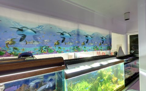 Tropical Fish Store «A Place For Pets Inc», reviews and photos, 431 SW 152nd St, Burien, WA 98166, USA