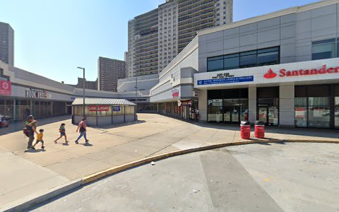 Pet Supply Store «Petland Discounts - Concourse Plaza», reviews and photos, 220 E 161st St, Bronx, NY 10451, USA
