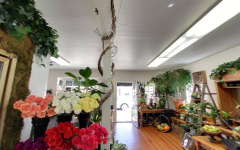 Florist «Fremont Flower Pavilion — The Fremont Florist», reviews and photos, 2090 Warm Springs Ct #148, Fremont, CA 94539, USA