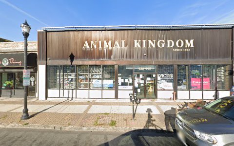 Pet Store «Animal Kingdom», reviews and photos, 436 Main St, East Orange, NJ 07018, USA