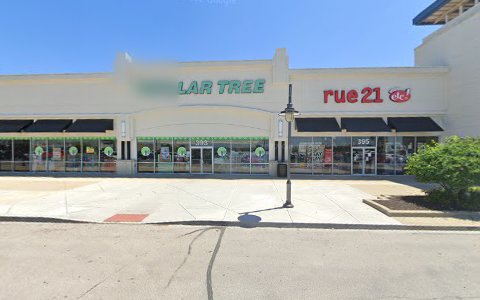 Dollar Store «Dollar Tree», reviews and photos, 393 Plainfield Commons Dr, Plainfield, IN 46168, USA