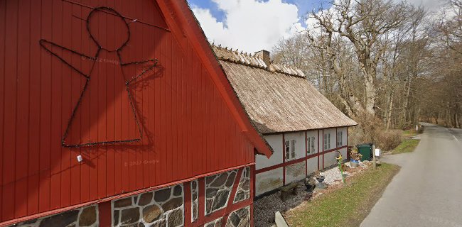 Borupvej 68, 4140 Borup, Danmark