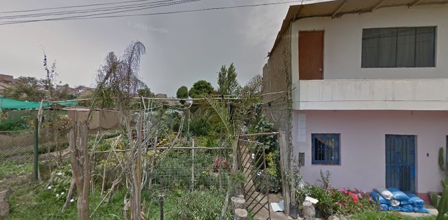 Opiniones de Vivero Casa Romero en Chorrillos - Centro de jardinería
