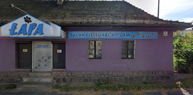 Komentarze i opinie o Salon Pielęgnacji Psów ŁAPA