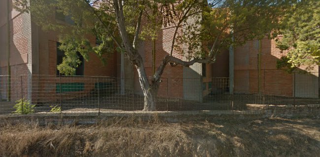 Liceo José Cortés Brown - Recreo - Escuela