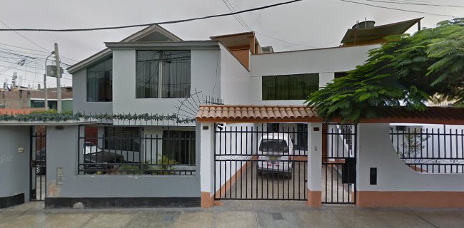 Opiniones de Punto Critico SRL en San Juan de Miraflores - Empresa de fumigación y control de plagas