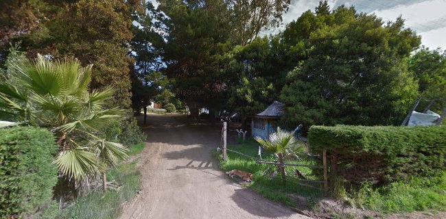 Casas Hellenkamp en Punta de Lobos - Pichilemu