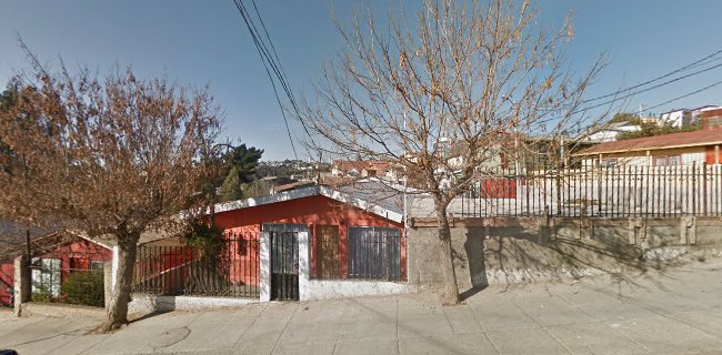 Opiniones de Centro veterinario Saludvet en Valparaíso - Veterinario