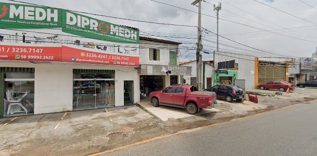 Avaliações sobre Folhagem em São Luís - Loja