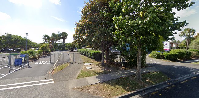 Randwick Park School - Auckland