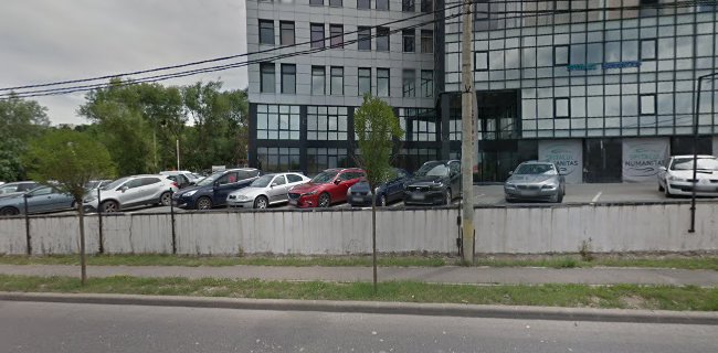 Best Auto Leo Cluj-Napoca - Servicii de mutare