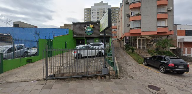 Patas e Focinhos - Porto Alegre