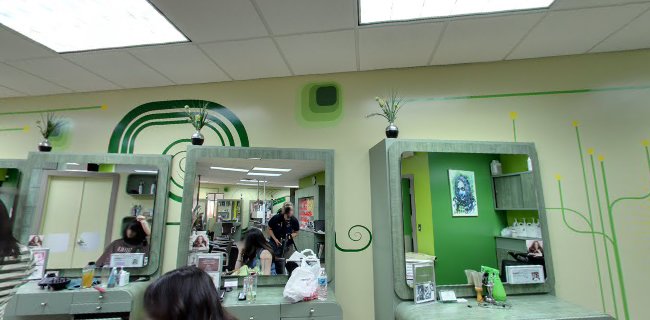 Reviews of Tribeca Salon in Tampa - Hair salon