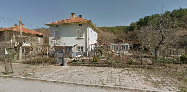 2590 Ваксево, България