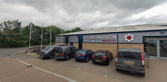 Flowervision (Bristol) Ltd - Bristol