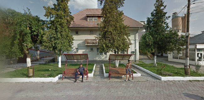 Strada Aurel Rainu, Fieni 135100, România