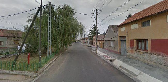 Strada Petofi Sandor 8, Salonta, România