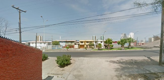 Opiniones de Truly Nolen Chile S.A. en Iquique - Empresa de fumigación y control de plagas