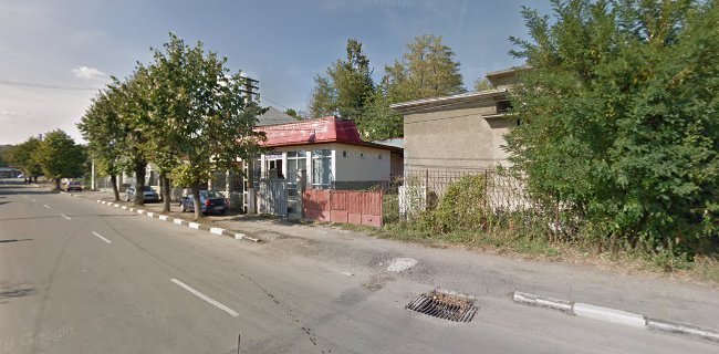 Strada Mihail Kogălniceanu 5, Vălenii de Munte 106400, România