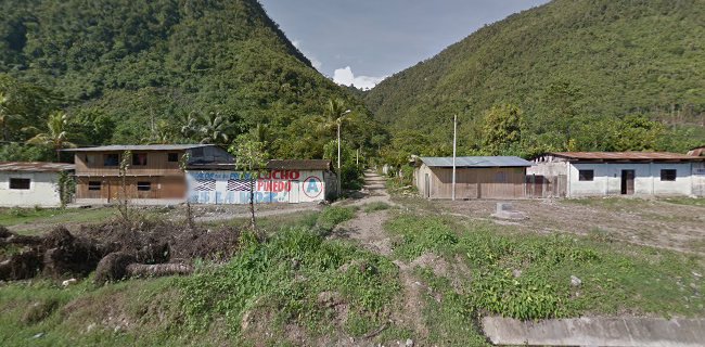 Opiniones de Centro Poblado Santa Cruz, Nuevo Progreso, Tocache en Tingo María - Tienda de ultramarinos