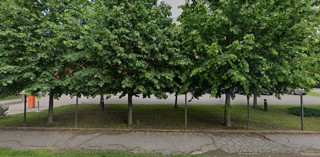 Szegedi Tudományegyetem Növénybiológiai Tanszék - Egyetem