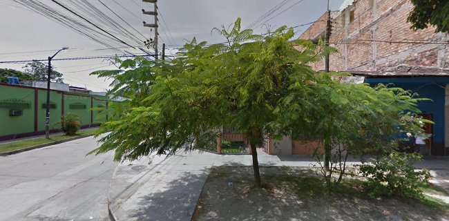 Piel - Zamora E.I.R.L - Iquitos