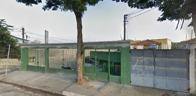 Consultório Veterinário São Lázaro - São Paulo