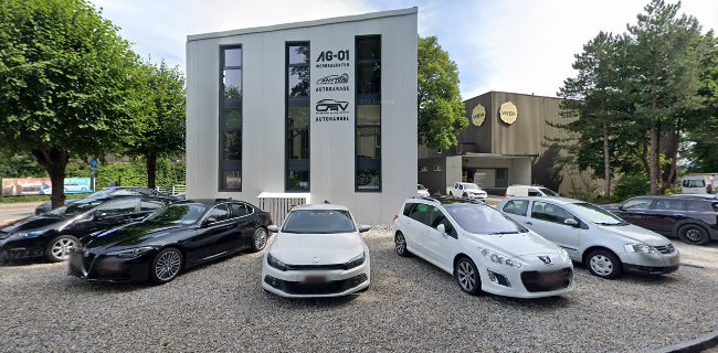 Rezensionen über OAV Occ. An und Verkauf Romano Serini in Bern - Autohändler