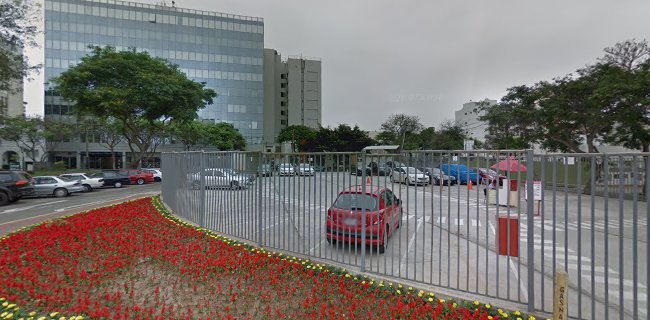 Control Parking - San Isidro
