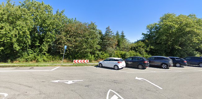 Parkering - Lindenborgvej S