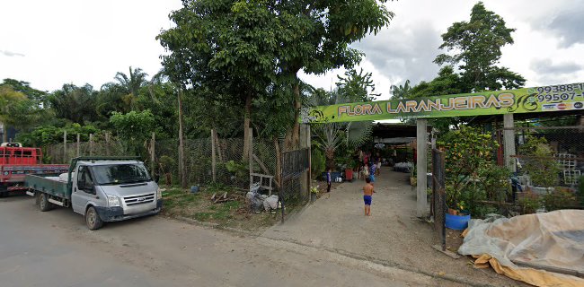 Avaliações sobre Flora Laranjeiras em Manaus - Mercado