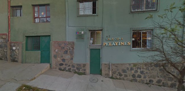 Opiniones de Pelayines en Valparaíso - Guardería