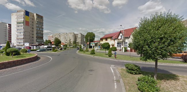 Strada Budiului 5, Târgu Mureș 540390, România
