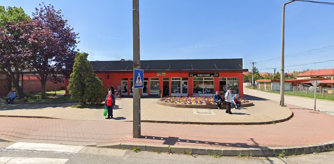 Nyilvános állomás