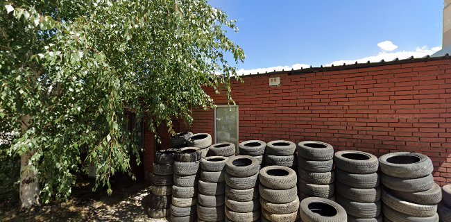 Отзиви за Zanin Tyres / Занин тайрс в София - магазин за гуми