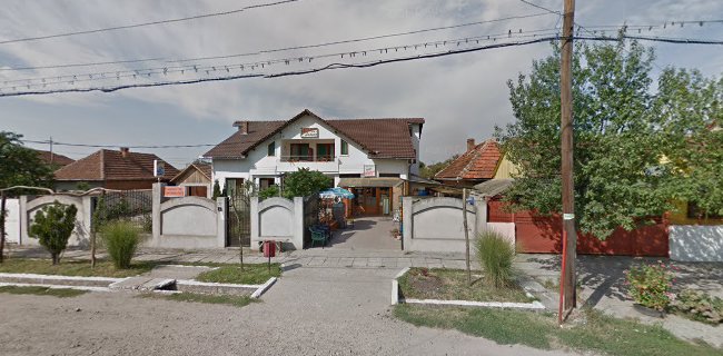Strada Crișului 32, Sebiș 315700, România