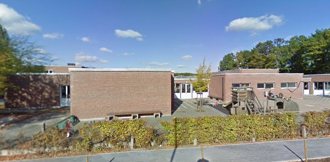 De Puzzel Begijnendijk - School
