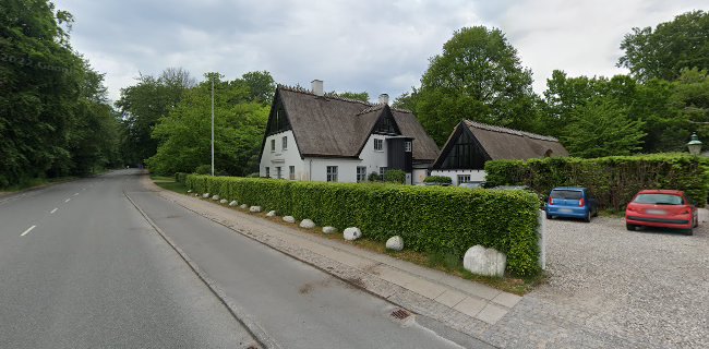 Børneøen Bonsai - Nivå