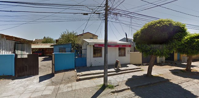 Opiniones de Carnicería San Pablo en Concepción - Carnicería