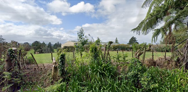 Reviews of Waitomo Bridge Club in Te Kuiti - Association