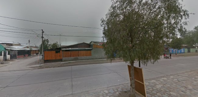 Opiniones de Ganadera Nuble en Puente Alto - Carnicería