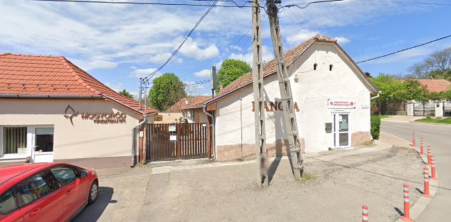Mogyoródi Család - és Gyermekjóléti Szolgálat (régi Hangya épület) - Mogyoród