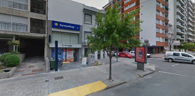 Opiniones de ACSA Inmobiliaria - Sucursal Pocitos en Ciudad del Plata - Agencia inmobiliaria